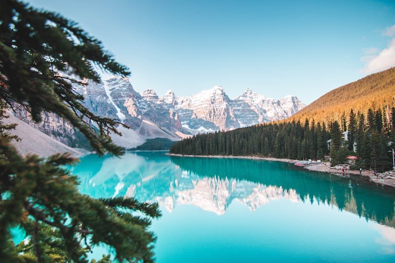 The Role of Photography in Modern Brand Building Pexels Photo 2662116